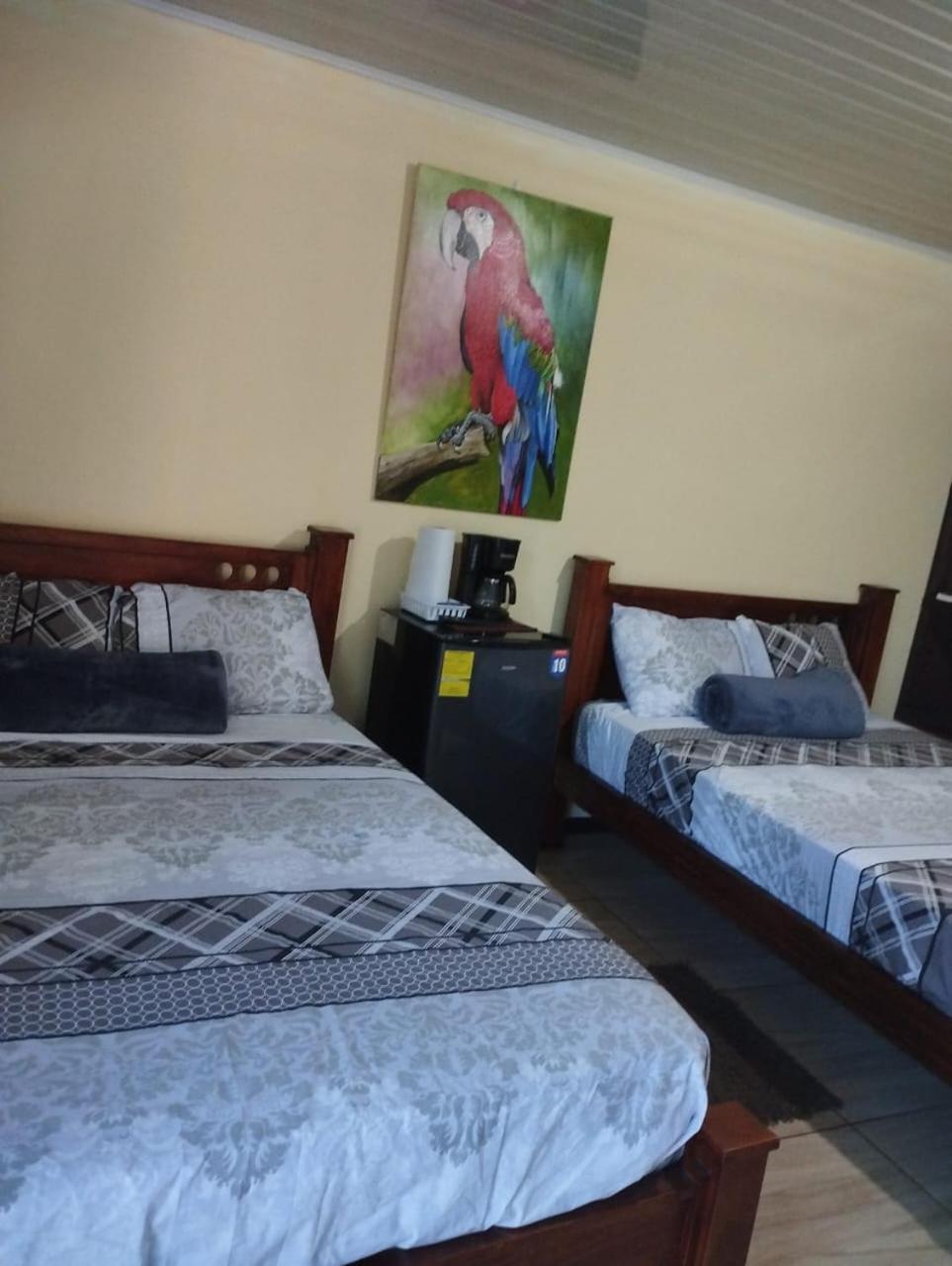 Anchia - Hostel Alajuela Exterior photo